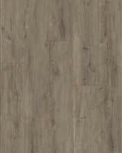 Load image into Gallery viewer, Floor - Silver Sage